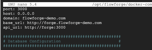 Screenshot showing domain configuration in flowforge.yml "Screenshot showing domain configuration in flowforge.yml"